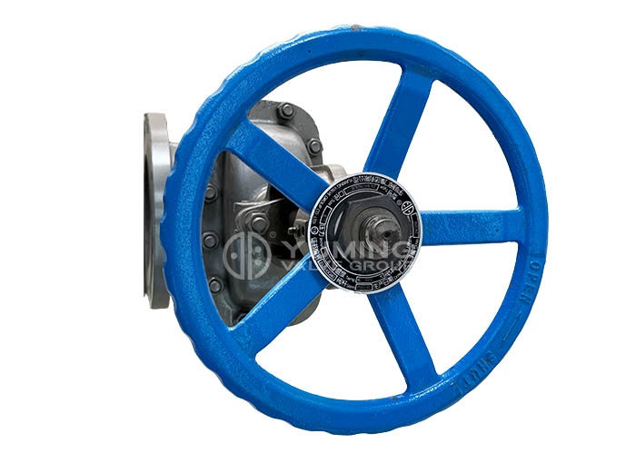 ANSI Gate Valve 